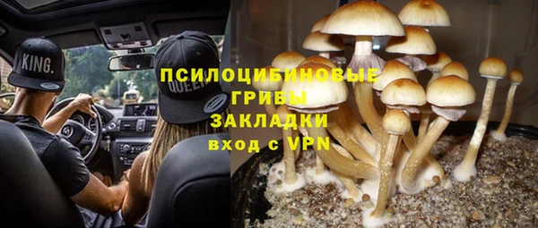 прущий лед Алексеевка