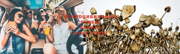 не бодяженный Алексин