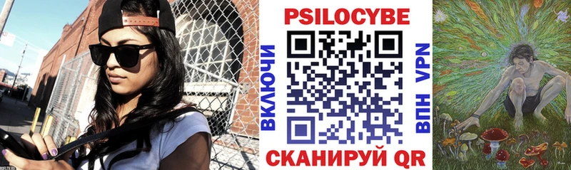 KRAKEN онион  где можно купить наркотик  Борзя  Галлюциногенные грибы Psilocybe 