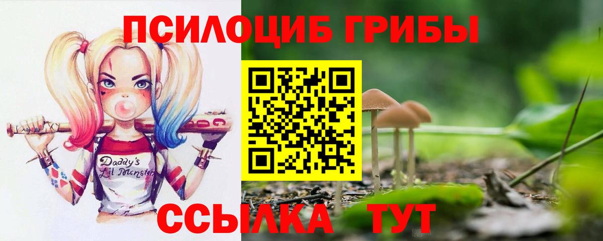 Псилоцибиновые грибы MAGIC MUSHROOMS  Вход с VPN  Борзя 